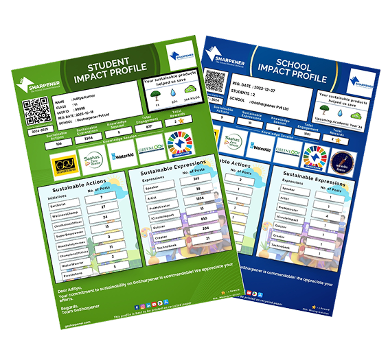 Digital Impact Profile